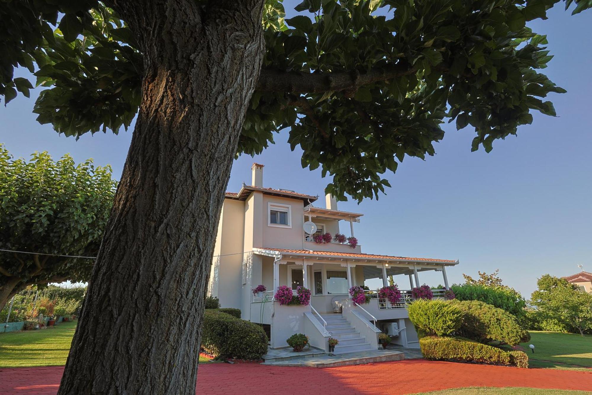 Villa Tammy'S Garden House Leptokaryá Exterior foto