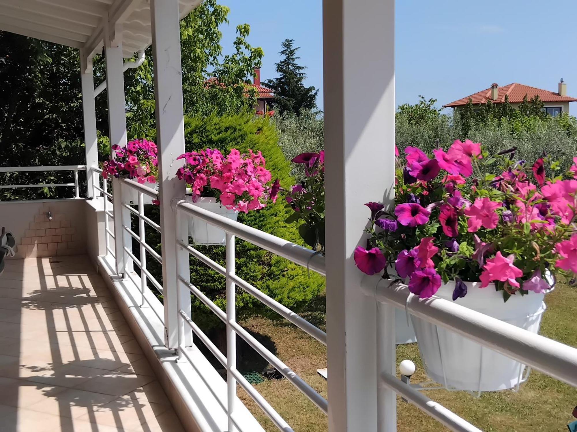 Villa Tammy'S Garden House Leptokaryá Exterior foto