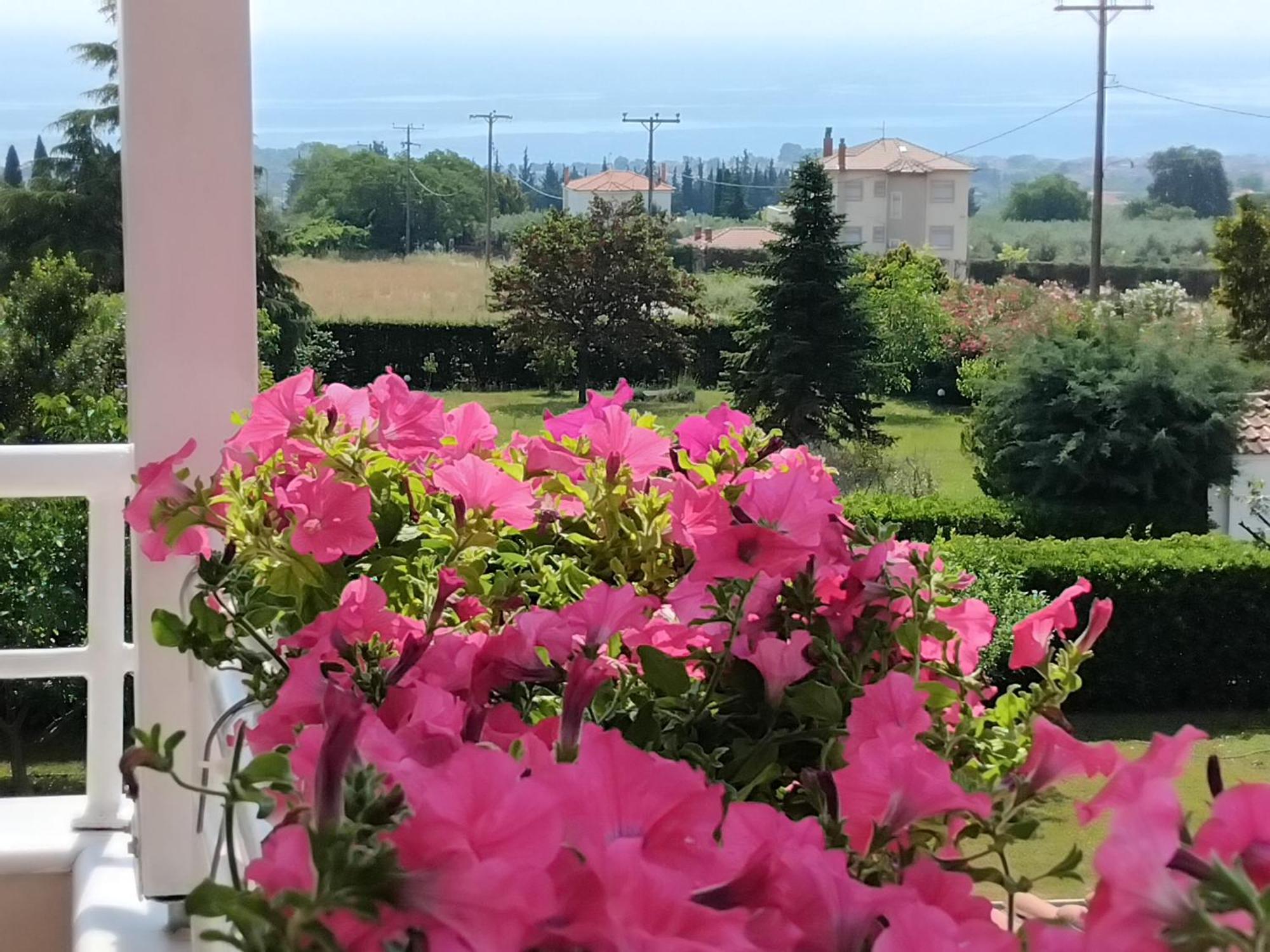 Villa Tammy'S Garden House Leptokaryá Exterior foto