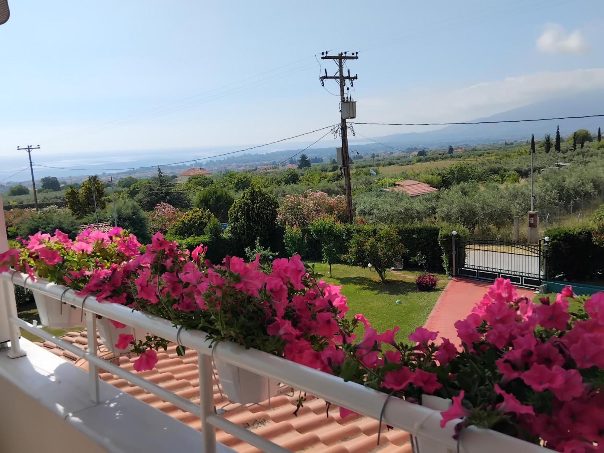 Villa Tammy'S Garden House Leptokaryá Exterior foto