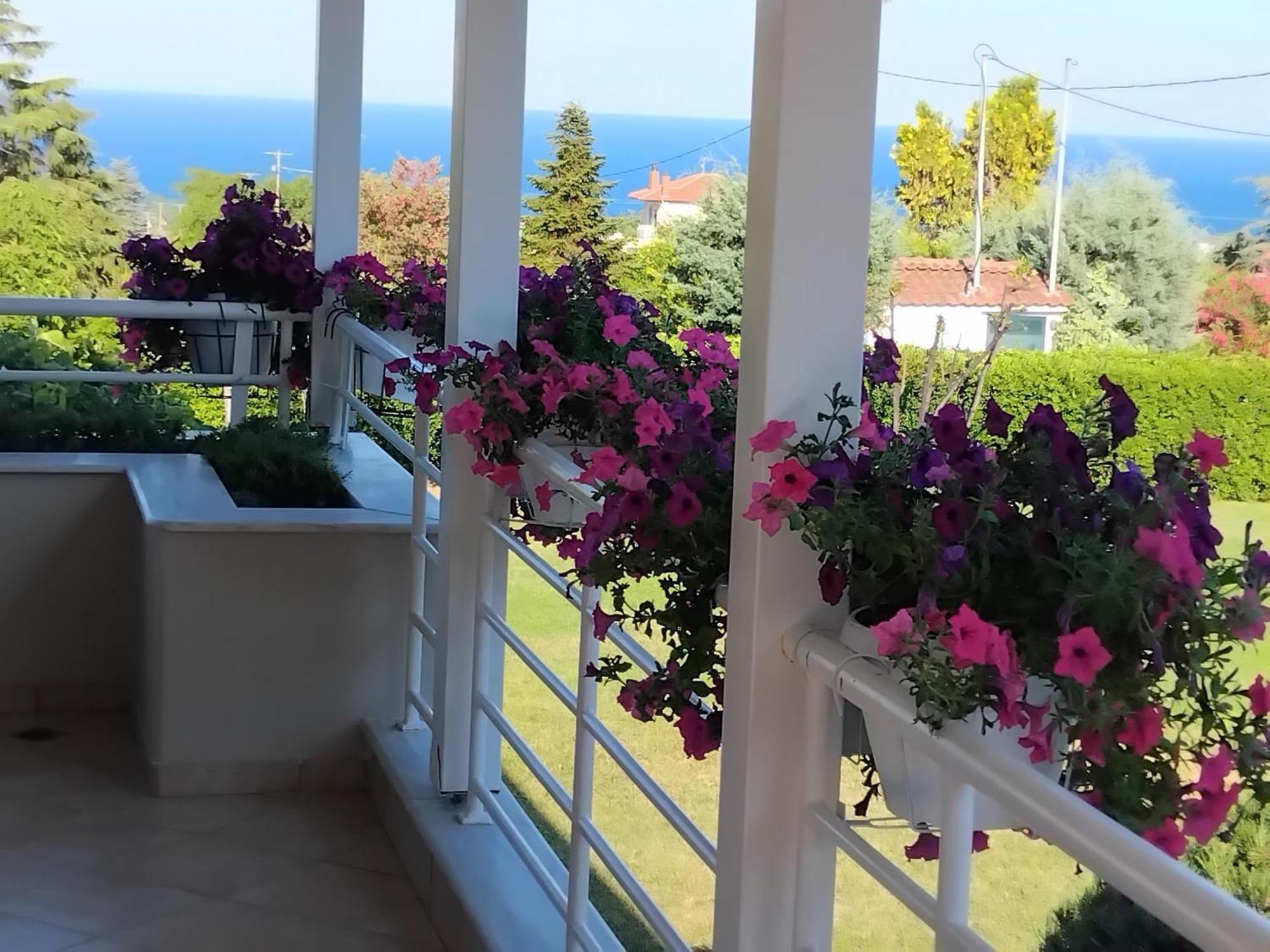 Villa Tammy'S Garden House Leptokaryá Exterior foto